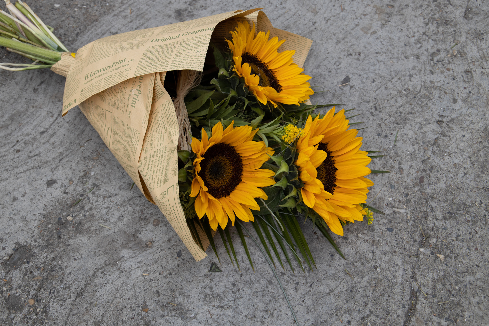 A Bouquet of Sunflowers 