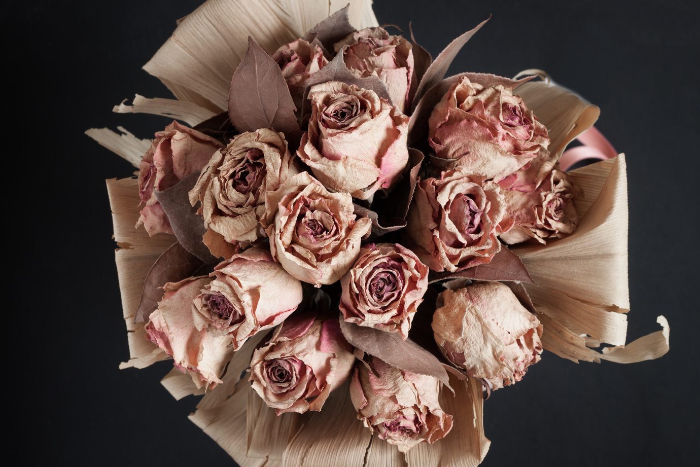 Bunch of dry flowers