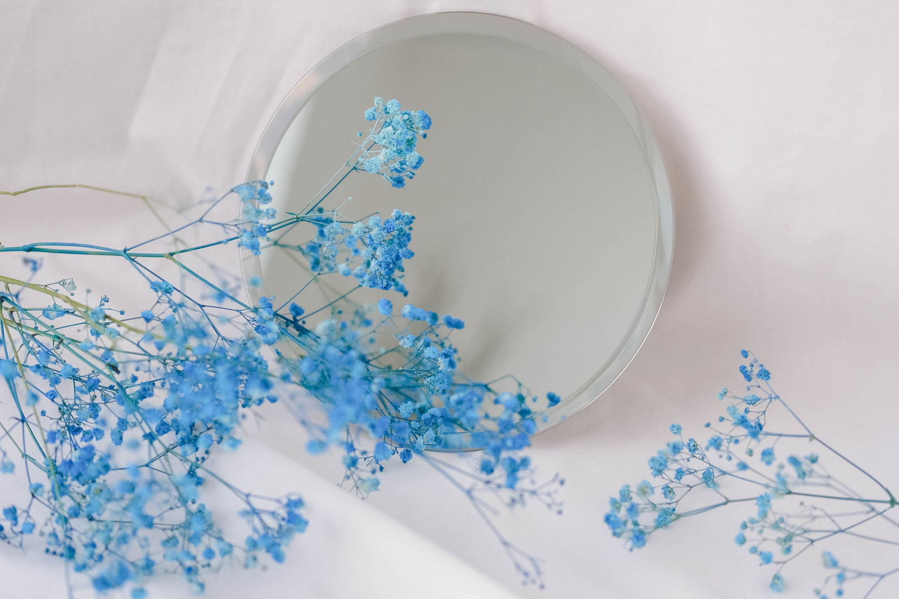 blue dry flowers aesthetics