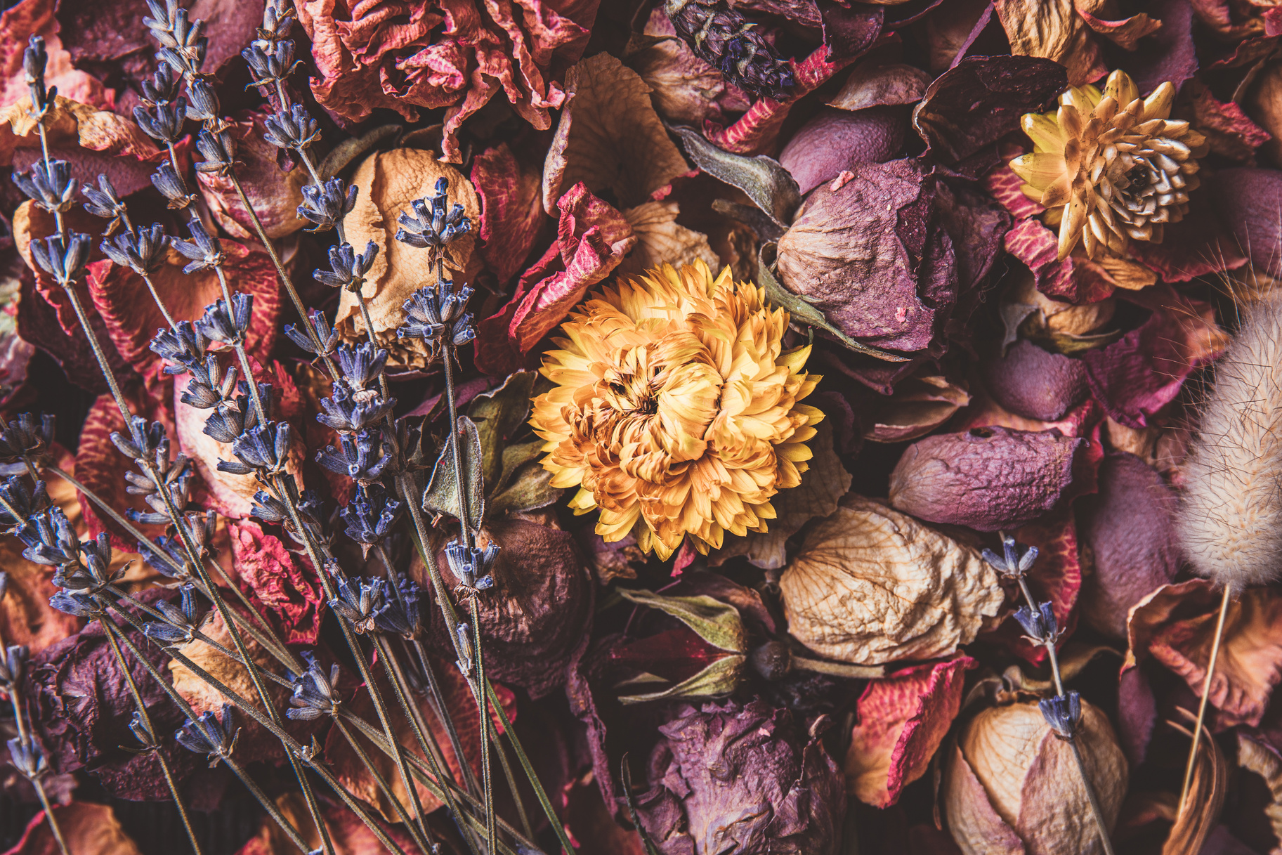 Vintage artistic floral background, dried flowers.