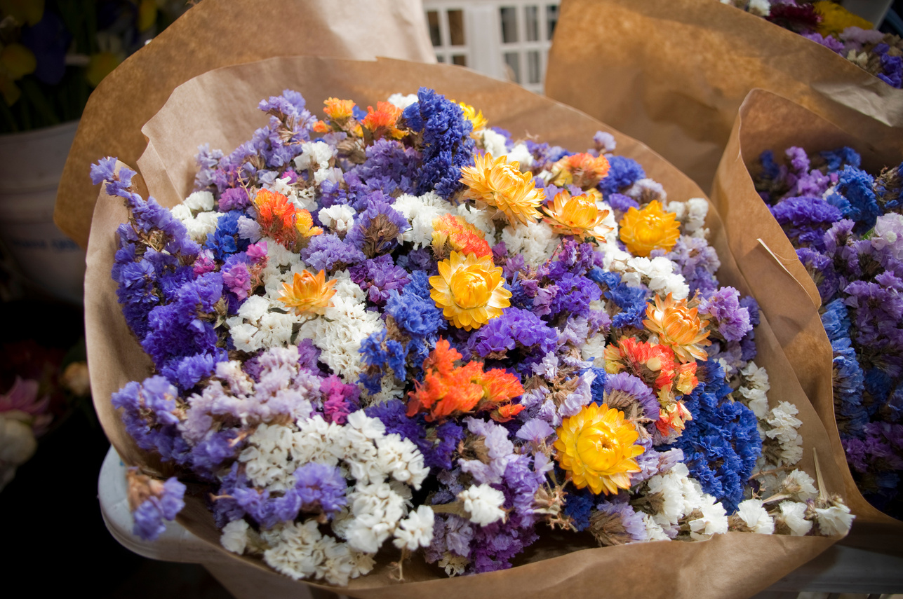 Bouquet of Dry Flowers