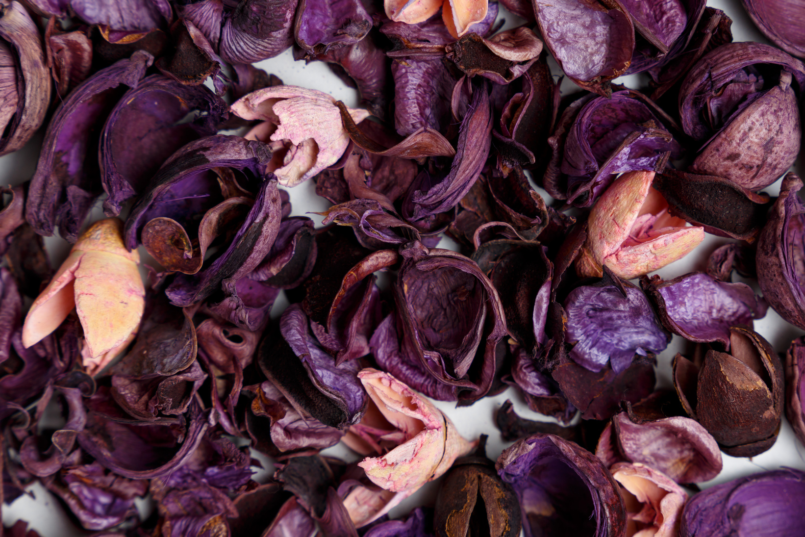 Background from of purple and pink dry flowers, leaves and petals on white background. Colorful background image. Top view. Flat lay. Copy space. Art concept. Color trends 2020. Abstract textures