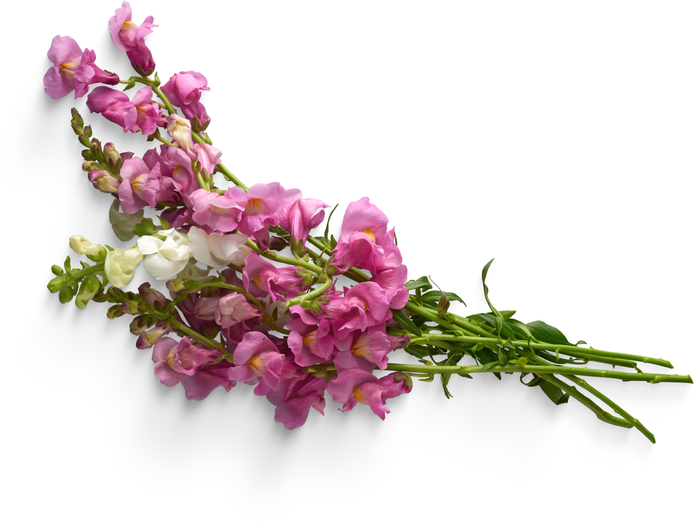 Flowers bouquet PNG